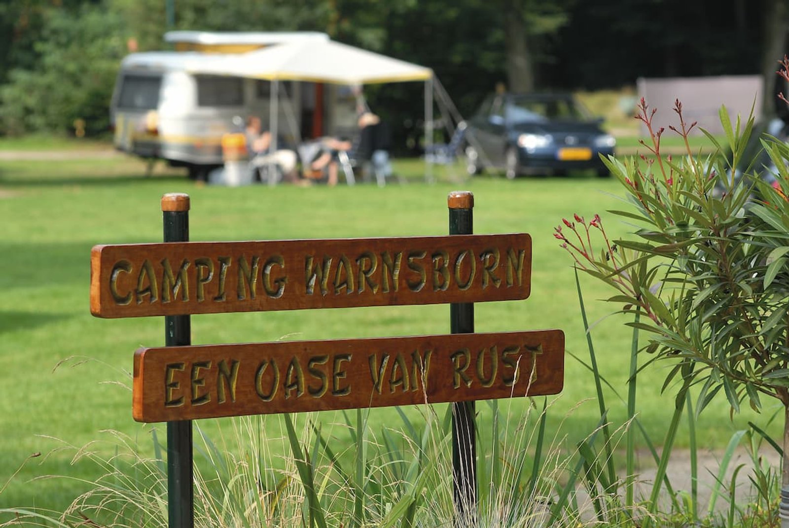 Kampeerplaatsen in het groen op Camping Warnsborn
